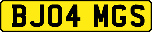 BJ04MGS