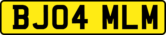 BJ04MLM