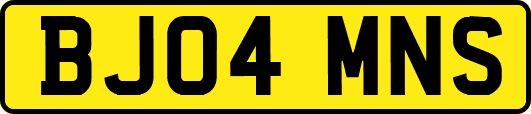 BJ04MNS