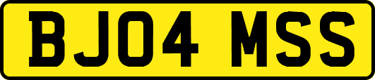 BJ04MSS