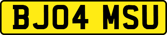 BJ04MSU