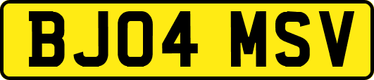 BJ04MSV