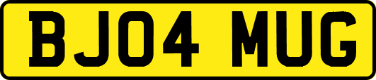 BJ04MUG