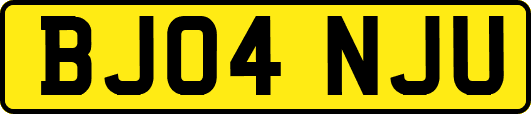 BJ04NJU