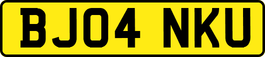 BJ04NKU