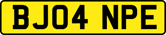 BJ04NPE