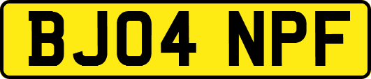 BJ04NPF