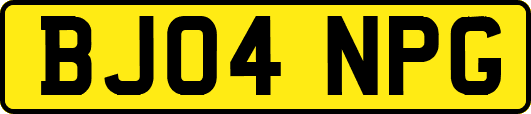 BJ04NPG
