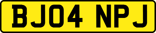 BJ04NPJ