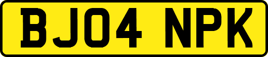 BJ04NPK