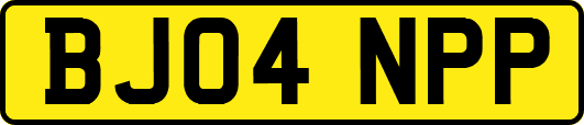 BJ04NPP