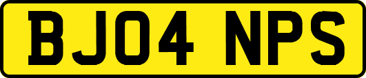 BJ04NPS
