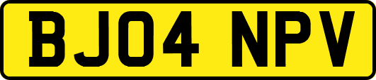 BJ04NPV