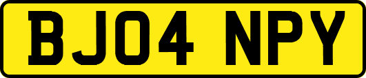 BJ04NPY