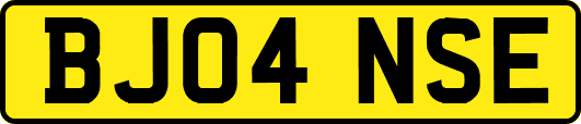 BJ04NSE