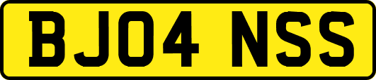 BJ04NSS