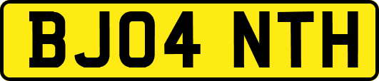 BJ04NTH
