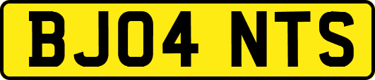 BJ04NTS