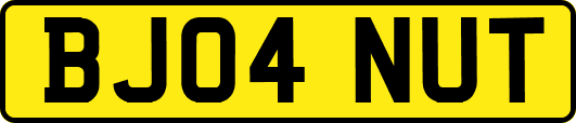 BJ04NUT