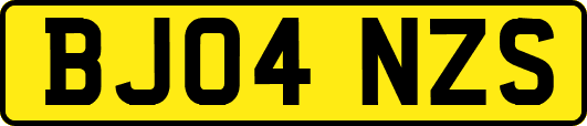 BJ04NZS
