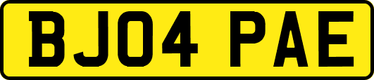 BJ04PAE