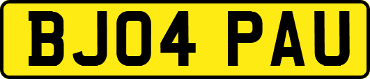 BJ04PAU