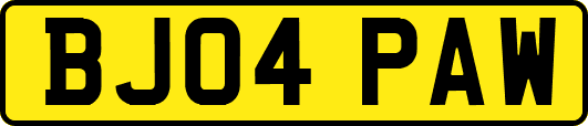BJ04PAW