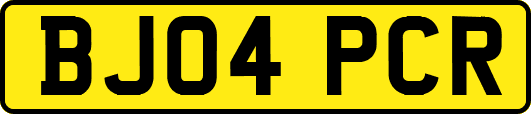 BJ04PCR