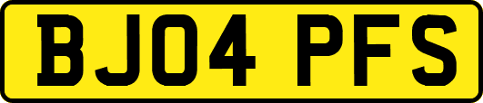 BJ04PFS