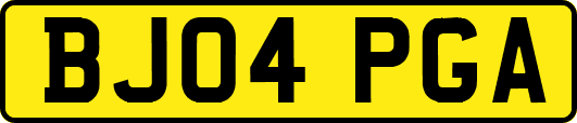 BJ04PGA