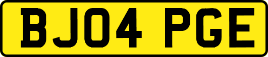 BJ04PGE
