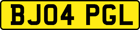 BJ04PGL