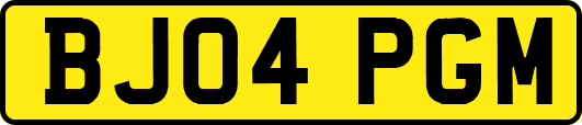 BJ04PGM