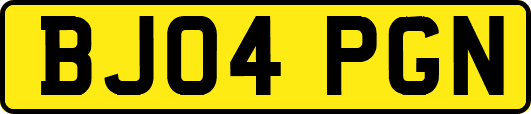 BJ04PGN