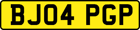 BJ04PGP