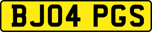 BJ04PGS