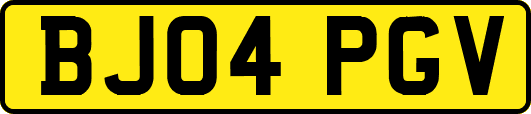 BJ04PGV