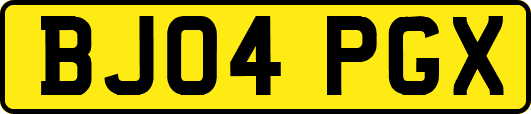 BJ04PGX