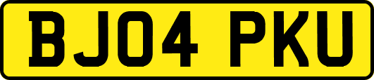 BJ04PKU