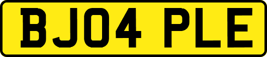 BJ04PLE