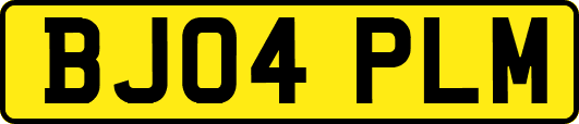 BJ04PLM