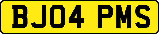 BJ04PMS