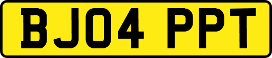 BJ04PPT