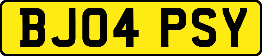 BJ04PSY
