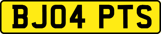 BJ04PTS