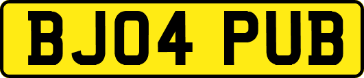 BJ04PUB