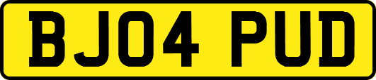BJ04PUD