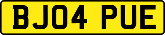 BJ04PUE