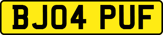 BJ04PUF