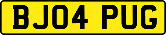 BJ04PUG